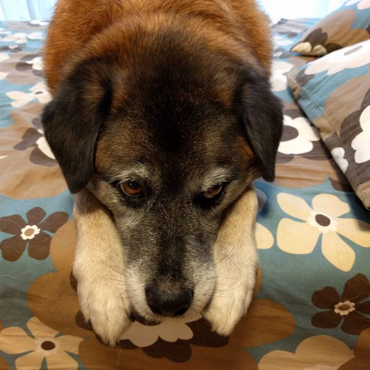 E170806d c10d 44b8 bcab 8434086b4c3d