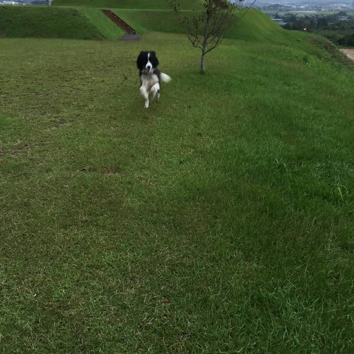 E170fa1b edf2 43d6 8050 99c10f6ccc45