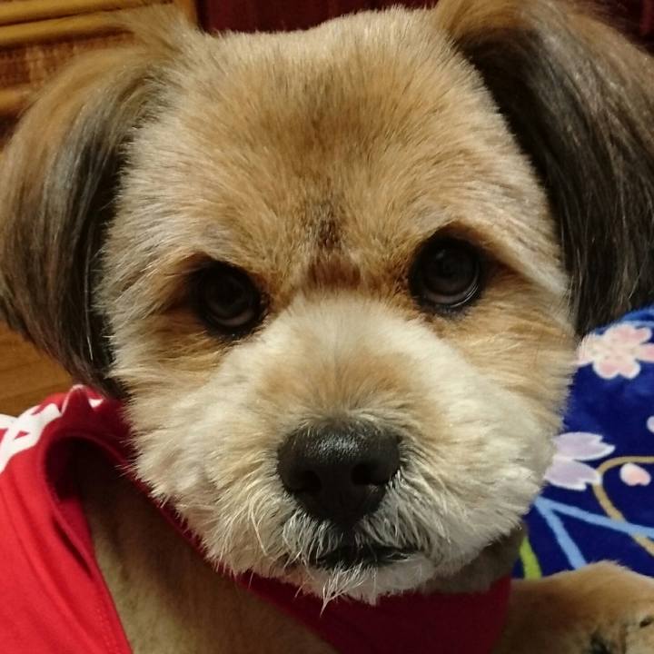 E1715472 fa03 4736 abbb 260838e9d5e4