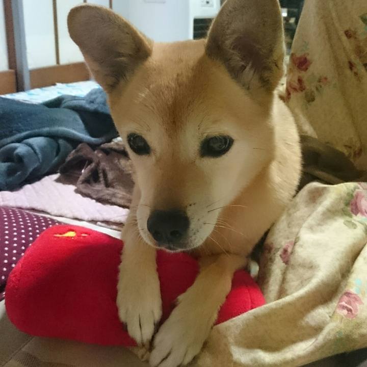 E1715ac1 4d80 4dce 8eaa 240ff842dc49