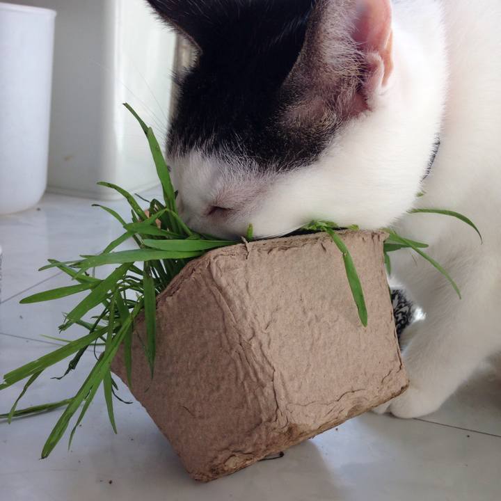 E1721e1a 625d 47f2 b1c5 f48644377a29