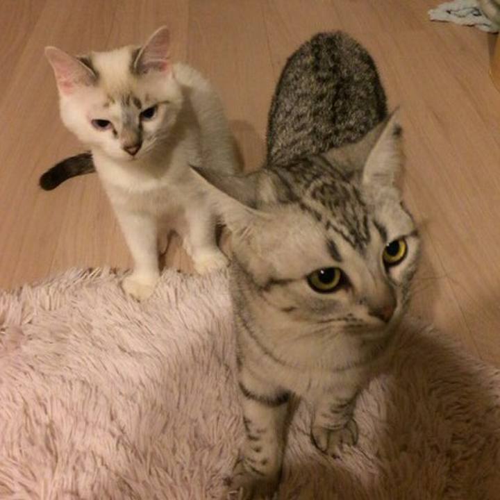 E1722f9f ae60 4fd8 bdd7 fbfc8fba8bc6