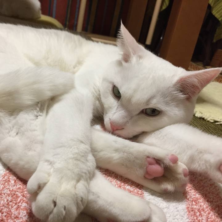 E172341d fcbb 4bb2 8ace d43a11fcc635