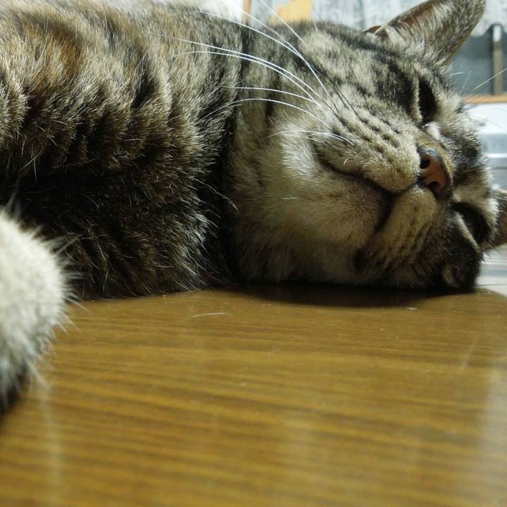 E172b200 c16d 43ce 90a9 a9b04685083e