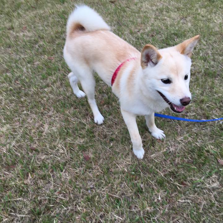 E172e932 ed1b 429d 97b7 49662509b1b4