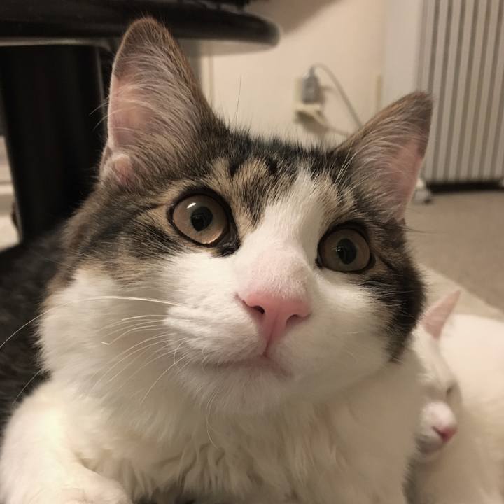 E17320e3 5cf3 430b b366 44827a735144