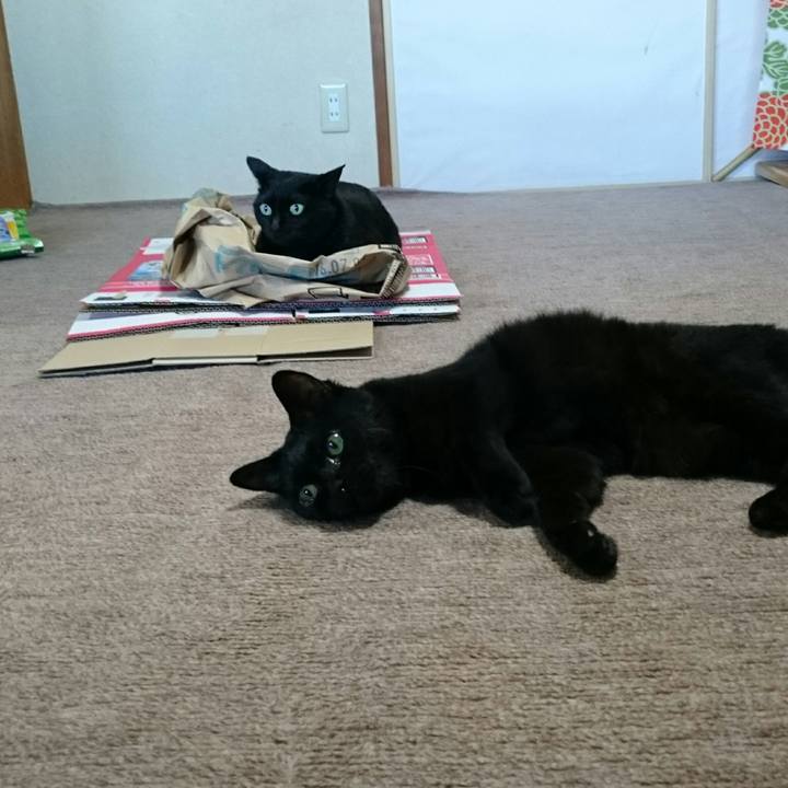 E17322f9 191c 4b97 944e 49bae7fe7b9d