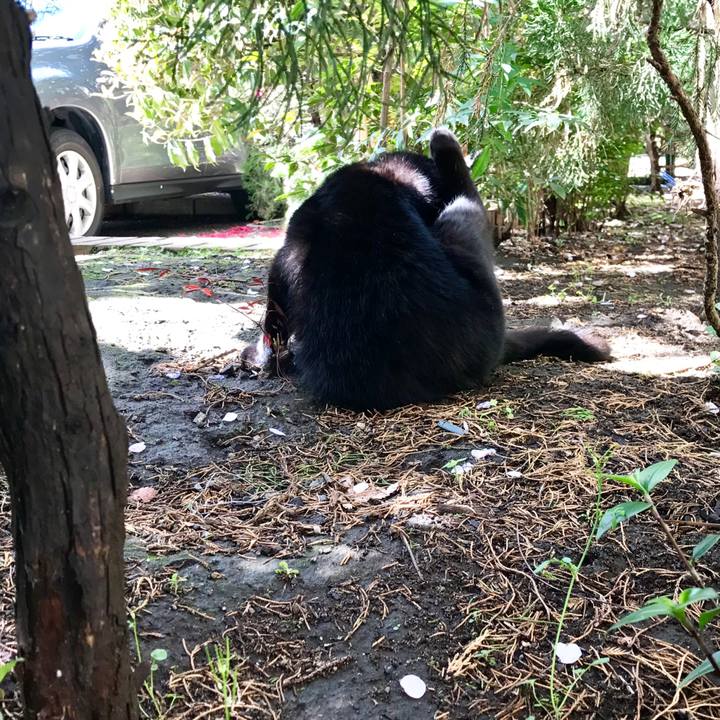 E173e409 a487 4030 bc0b 1dd244c80e53