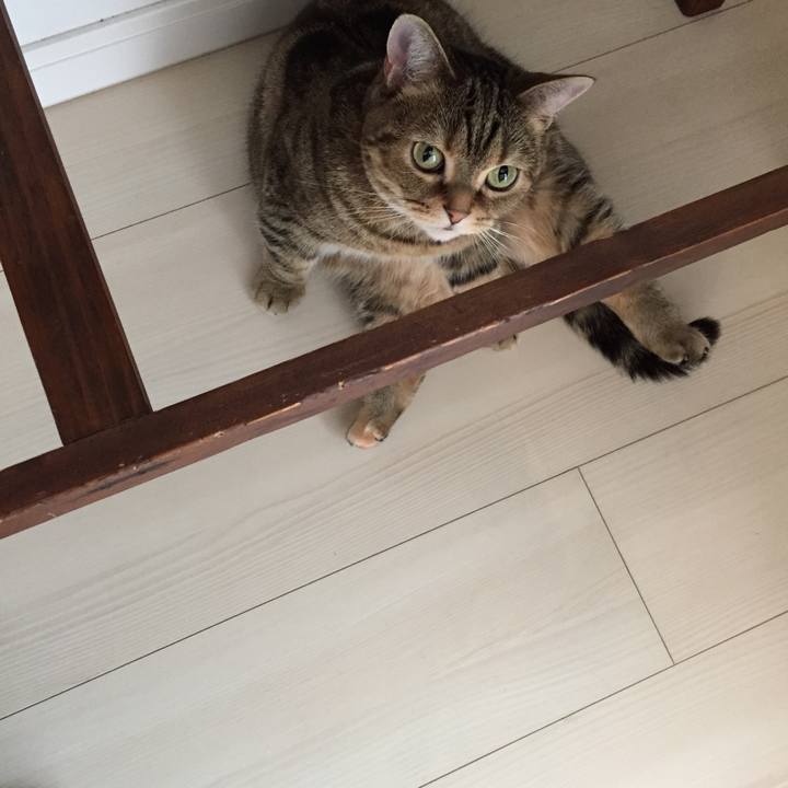 E1743f0f 6535 4ae1 9b83 7e6673f1c2bd