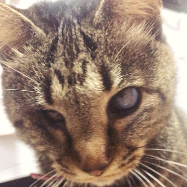 E1748505 a41f 4dfb 9e4b d81b2e8c1453