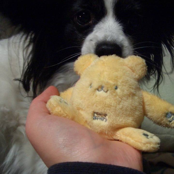 E174d834 87d6 4c5e b27e f1a4db77a3c8