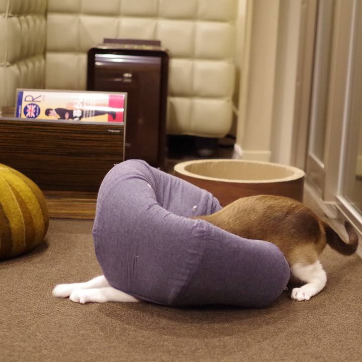 E1755096 dd77 45e5 ae61 1729c74359e7