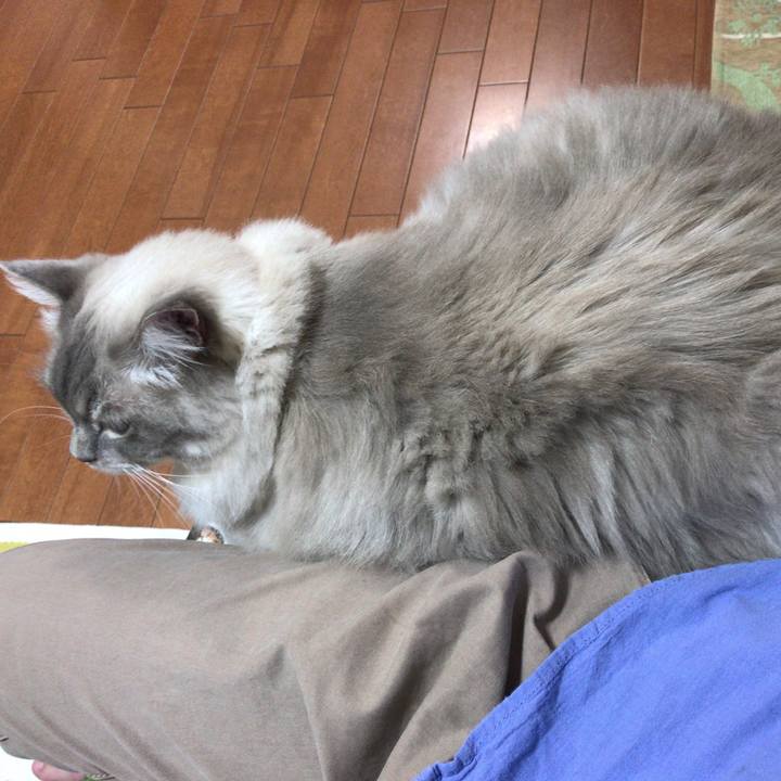 E175756d 5da3 471d 9d49 d06cb6c3b0e3