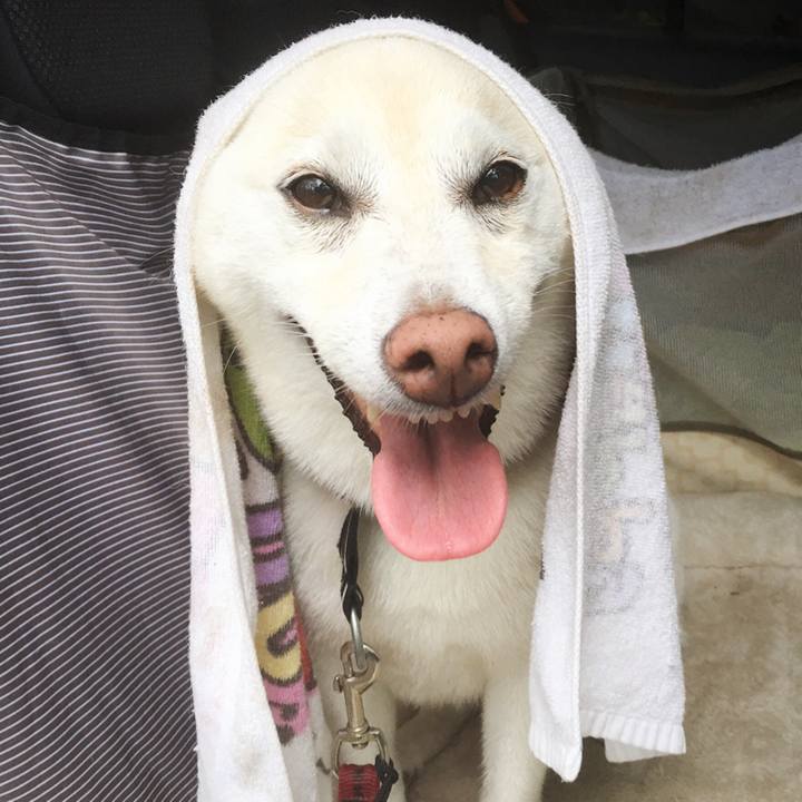 E175cc61 c03d 481e 8ded 262c4b432cee