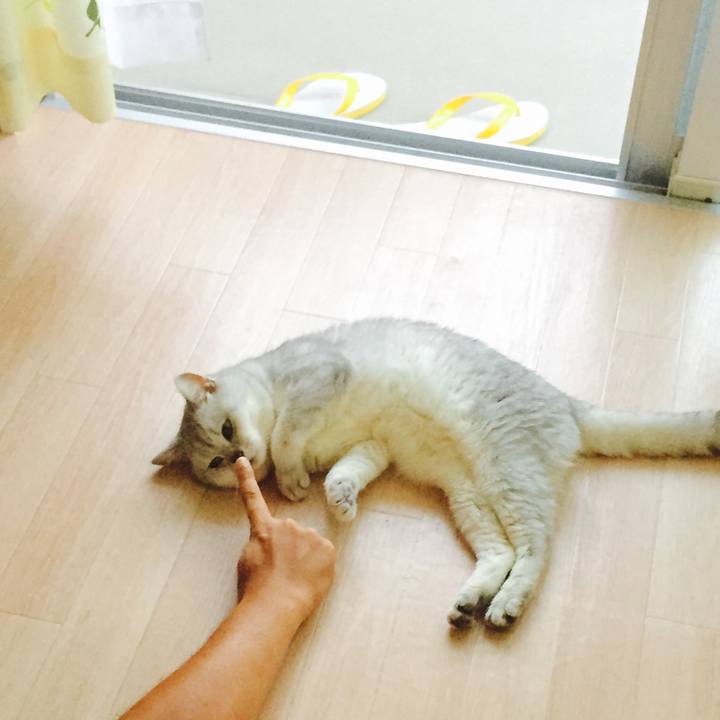 E1763d4e 9d28 47a6 a79e 07ac2d2c447c