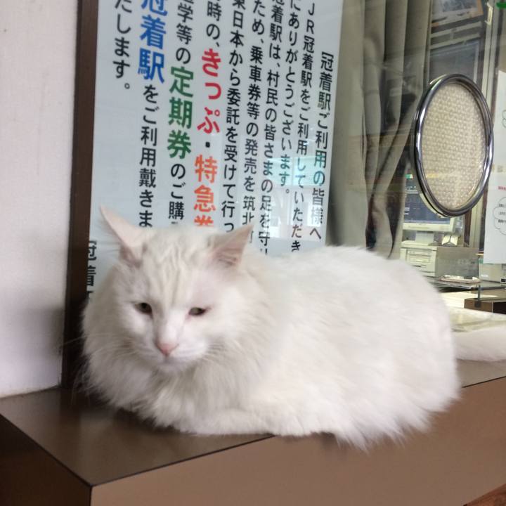 E176454b cb3e 441c 9c8c da49d35386c7