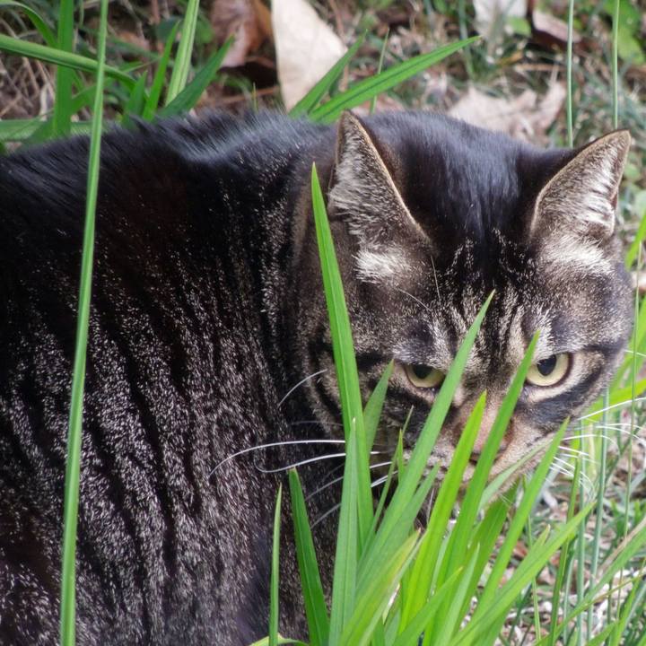 E177330c 5d5c 43df a1ce 11fe9da7e95b