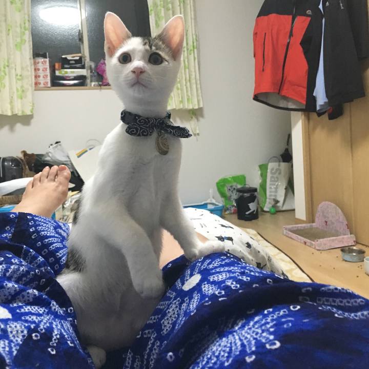 E1773b9b d425 4246 bce9 3f97fee3deb4