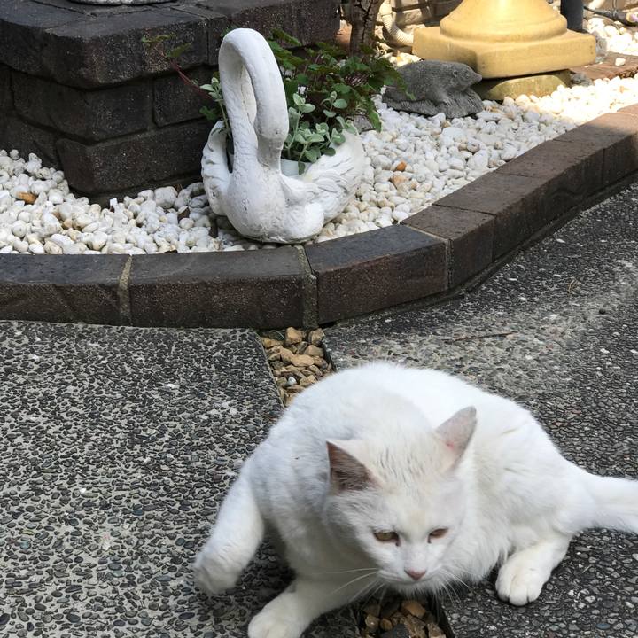 E1776723 2acc 4749 9d3e d70330197ec7