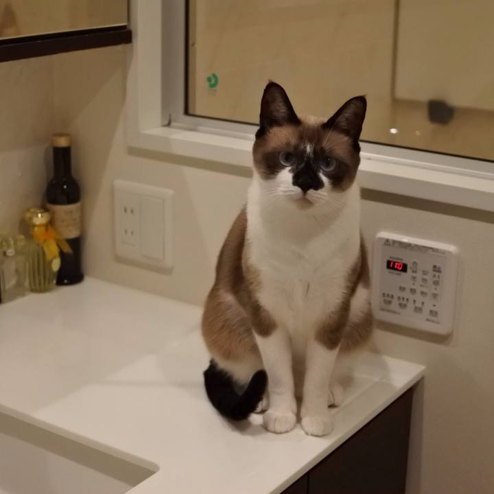 E1782b9e 559d 4033 9ea2 75d76e003968