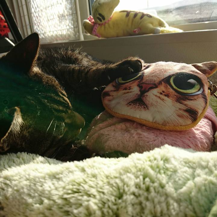 E178e525 6593 42a8 983f f1c34bfff0b7