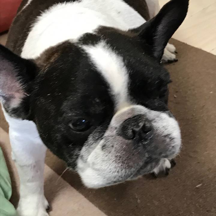 E1791087 9845 4301 9bce 45e0fd55dd89