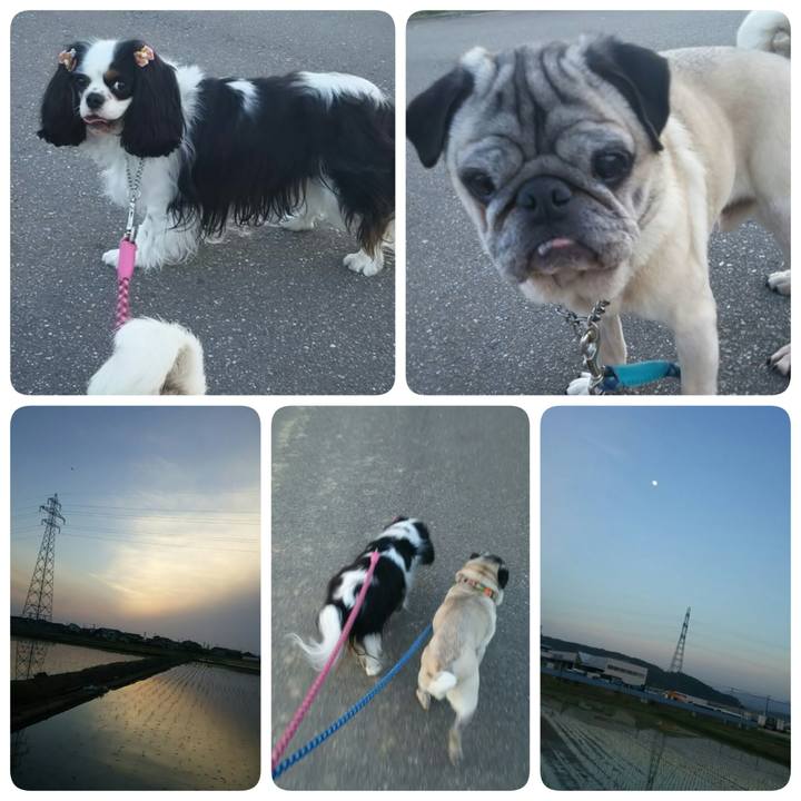 E1795170 edd2 492c 835e e75a155b0245