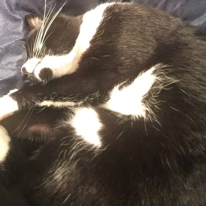 E179d535 32e7 4cf6 9e62 0f1b5aba414e