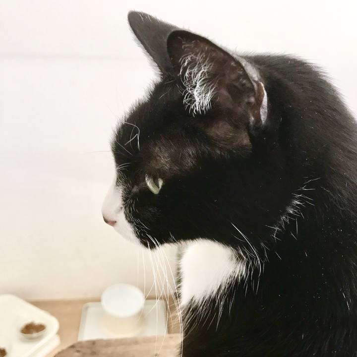 E179e188 cfa0 4783 aee7 dc66bfd1edcb