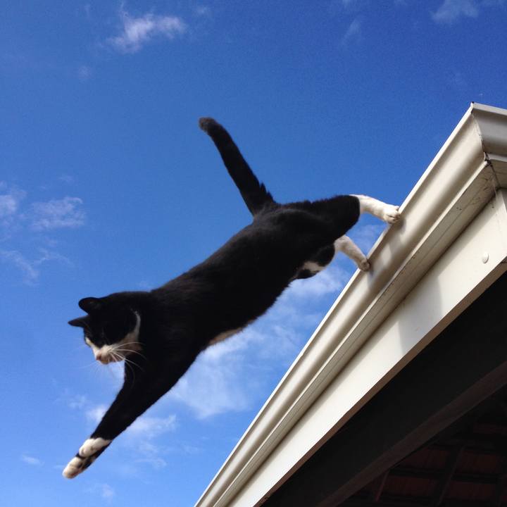 E17a1532 b2c3 43e6 9baa c1d324908868