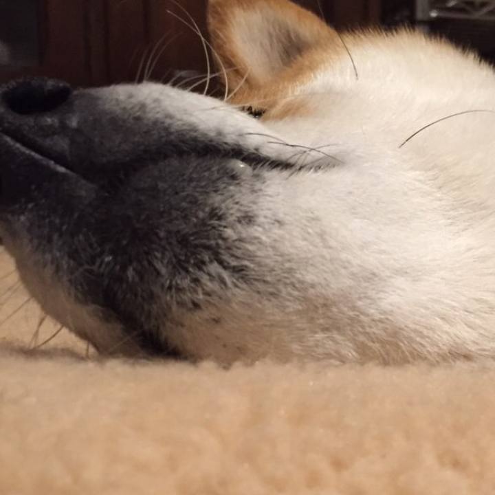 E17a2530 2db1 4198 97c8 72fe715d3b69