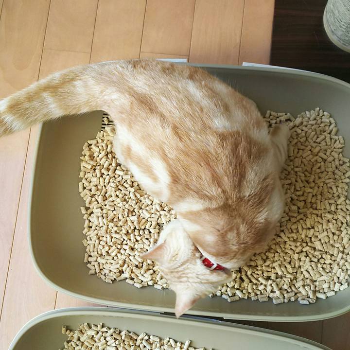 E17a649b 8cf5 4217 9e92 89acf1ec38a6