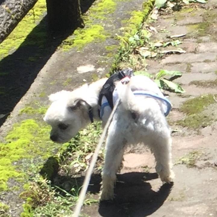 E17aa9f7 2917 42fa aeb8 5e74829ca512