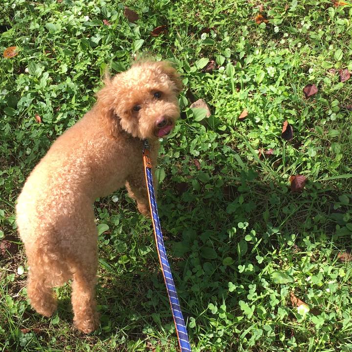 E17ac134 cfb0 40f4 93d4 e0d49ea91df6