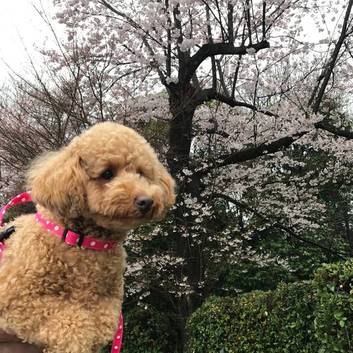 E17b8d21 f7b5 4241 b481 23ba376994f5