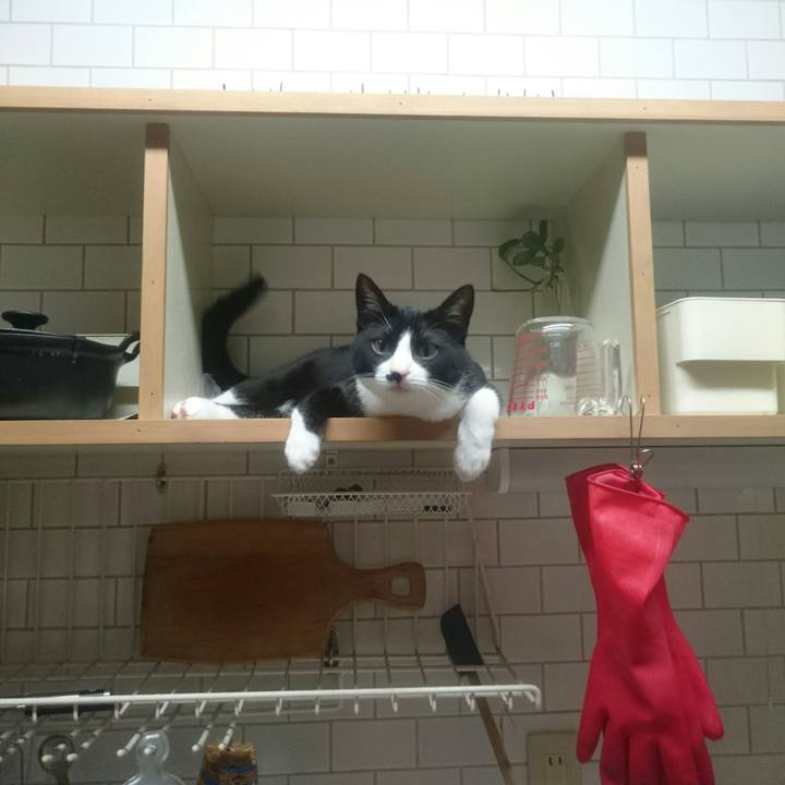 E17bc119 09c7 4fdb ab45 a8ec53d8f145