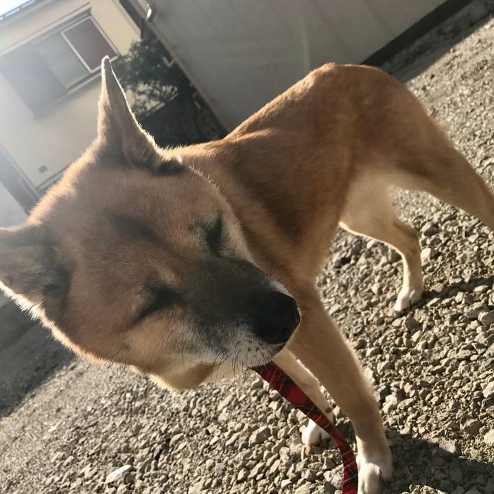 E17c3bbc c414 4875 b973 eda9358b435c