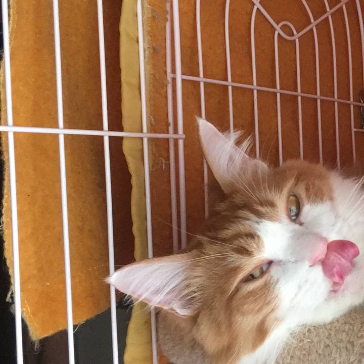 E17c7390 ebd4 4264 b054 ef5a25f2f78a