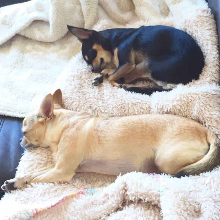 E17d2821 cde2 489f 982c d495d5233443