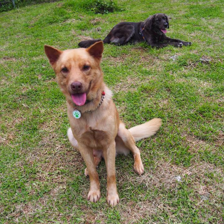 E17d4858 3ee1 45be bc42 a60ce3f43631