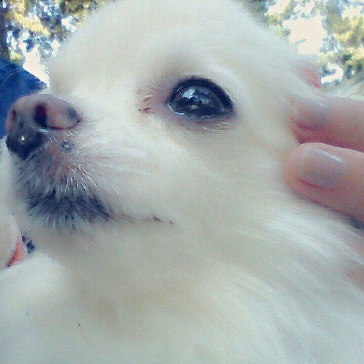 E17d9fee 1095 477b a906 cba506518605