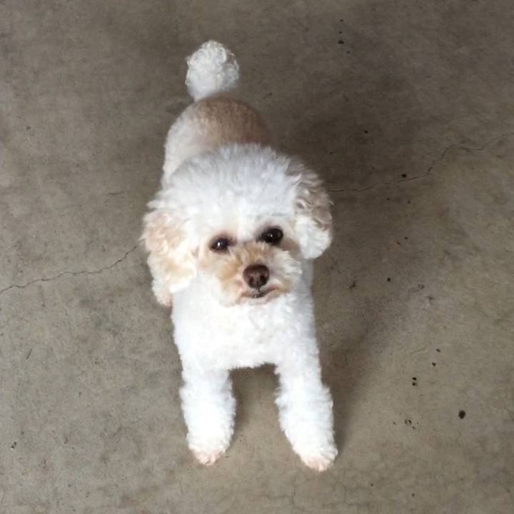 E17db792 36d9 4d88 a476 c6782997fb30