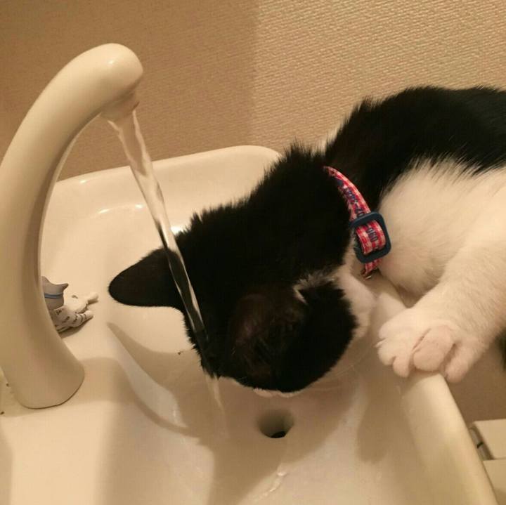 E17e0b71 ffde 4303 af4a 2799a68b2932