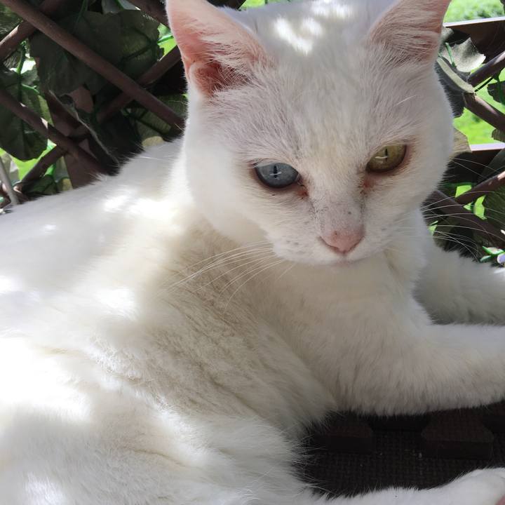 E17e2718 01f8 4b04 acd0 073046e6bcc7