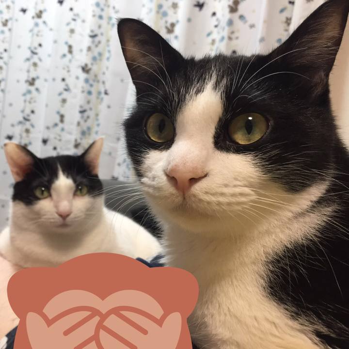 E17e451f 583b 45e1 b07a dc46f2dd7ade