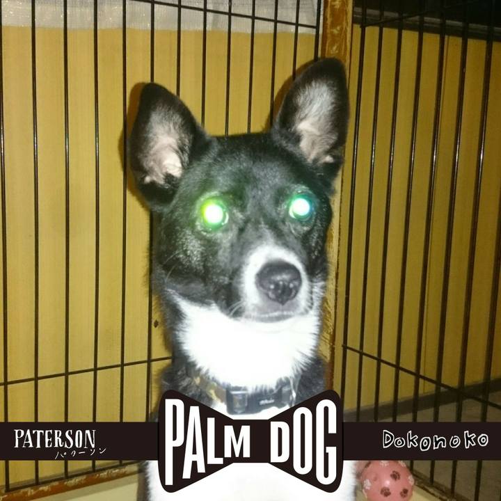 E17e715f dbf9 4bb8 a6c8 127e6035e1d7