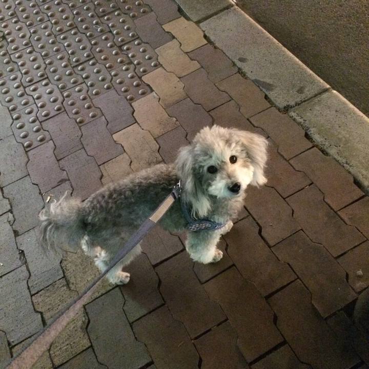 E17ee82d ee21 4b18 97b6 0faf95f9eb56