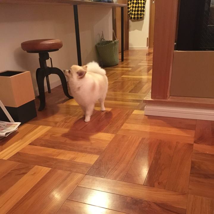 E17f187a 43a3 4952 a737 20b2b3dc1bae