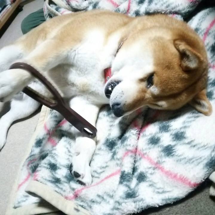 E17f2d9c d12c 44ec 8232 5776b19e3569