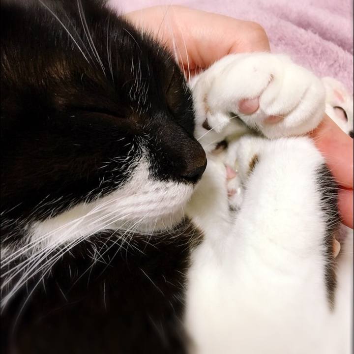 E17fd4fd 312b 4fef bf13 0d4ab982545b